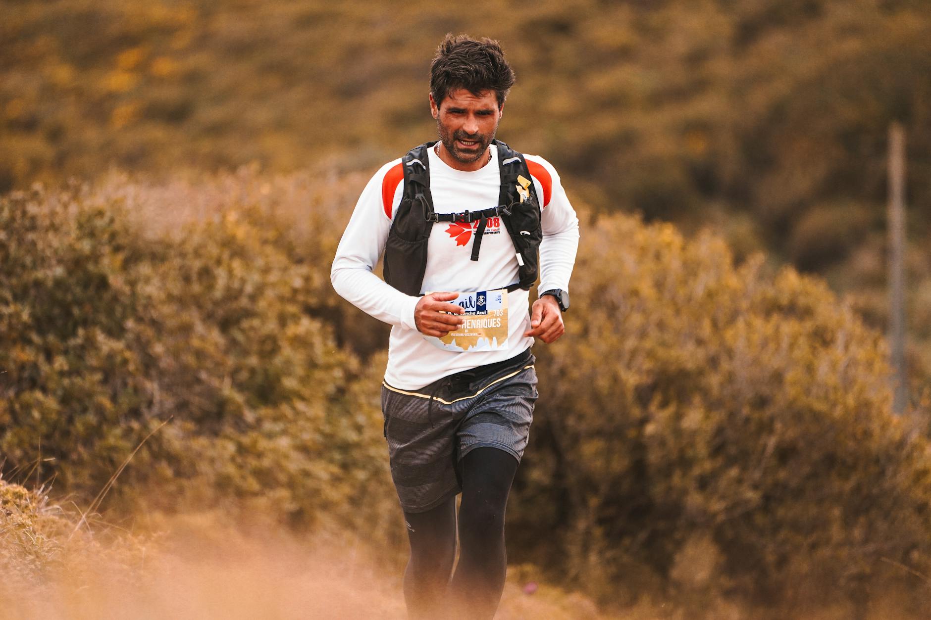 infographic style: week by week walk-run ratio progression